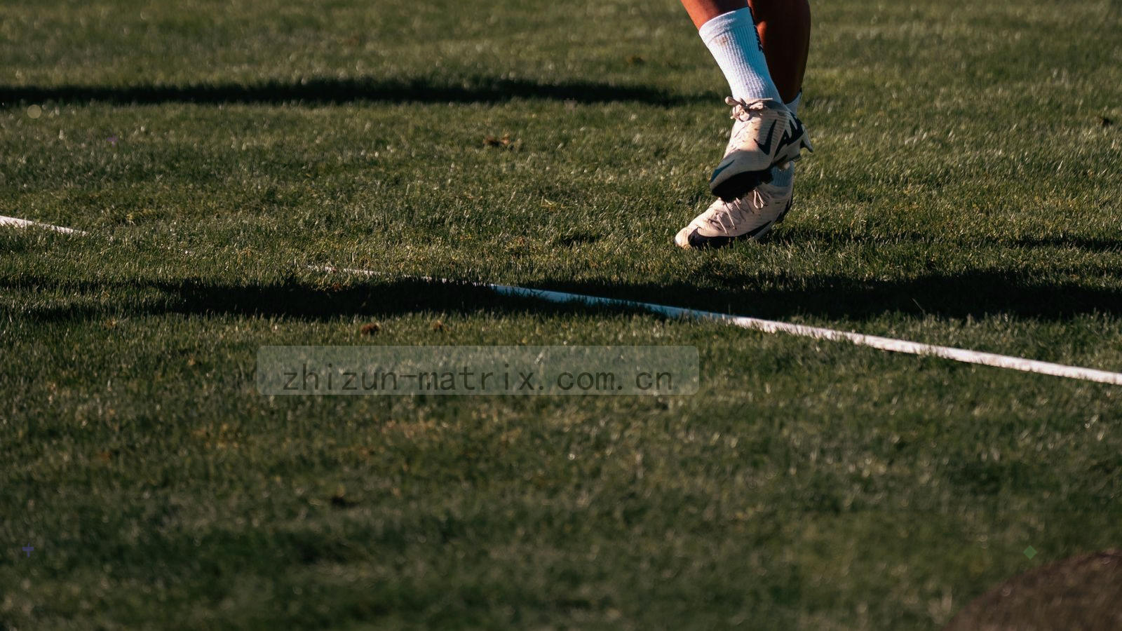 深色背景上由细密金线构成的规则网格与闭合环形纹样，整体抽象，不含文字与人物